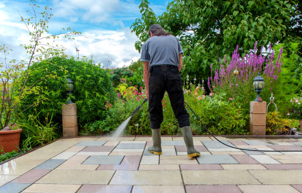 Best Driveway Pressure Washing  in Beatrice, NE